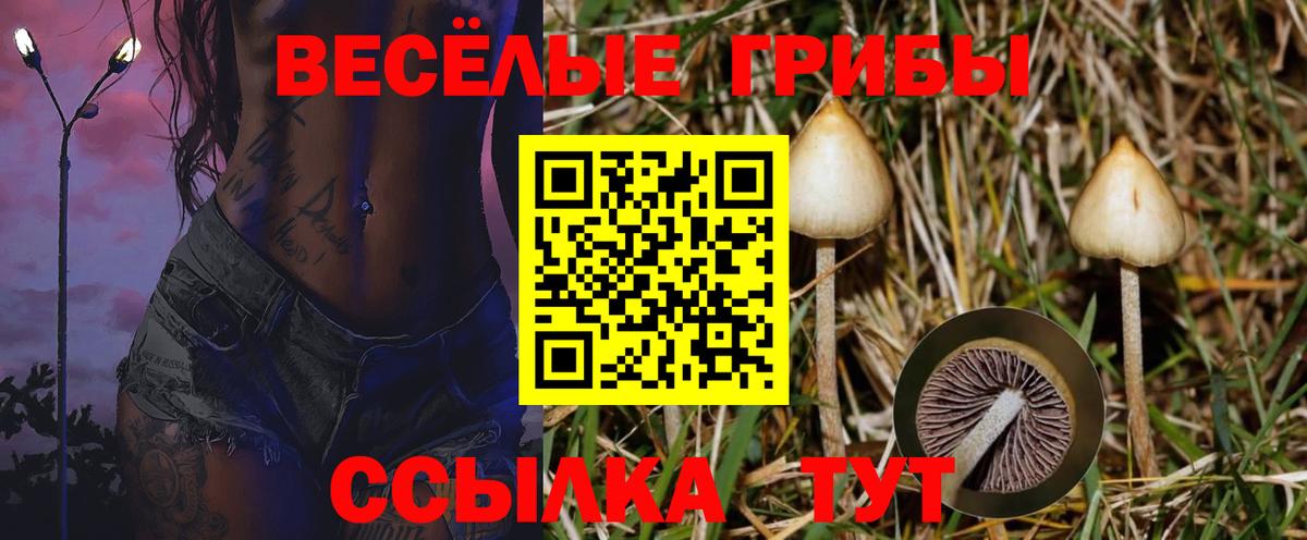 Псилоцибиновые грибы Magic Shrooms  Вход с VPN  Ишимбай 
